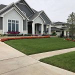 Planter tree ring retaining wall