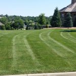 Striped lawn in front of a large home