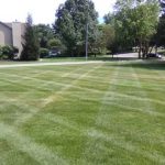 Crosscut striped lawn