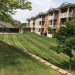 Striped lawn beside an apartment building