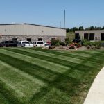 Striped lawn beside a commercial building