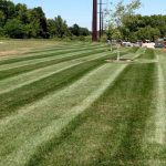 Wide striped field