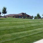 Wide striped lawn in front of a home