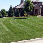 Striped lawn in front of a brick home