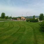 Striped commercial lawn